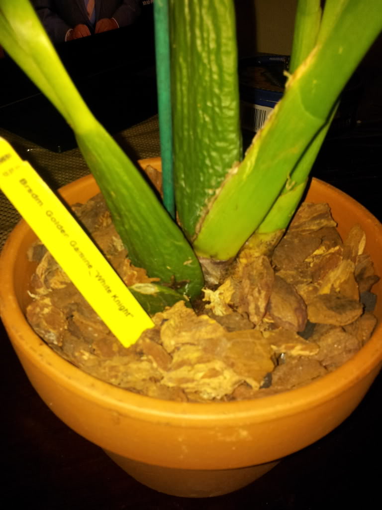 IMG_20130514_221021.jpg