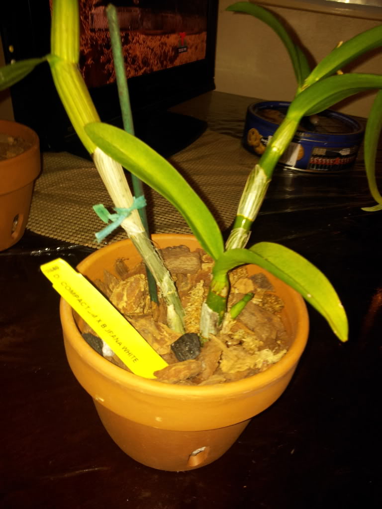 IMG_20130514_221045.jpg