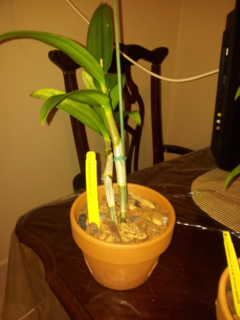 IMG_20130514_221110.jpg