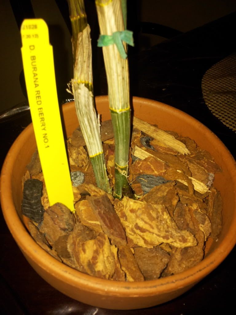 IMG_20130514_221121-1.jpg