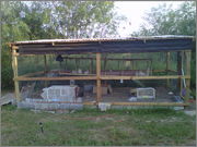 IMG_20130703_00364.jpg