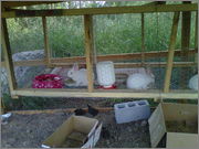 IMG_20130703_00366.jpg