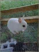 IMG_20130703_00371.jpg