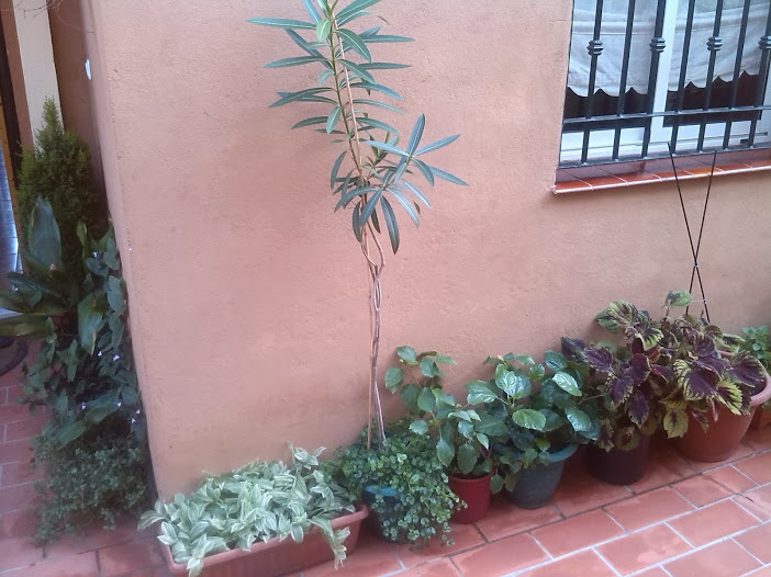 IMG_20131110_170646.jpg