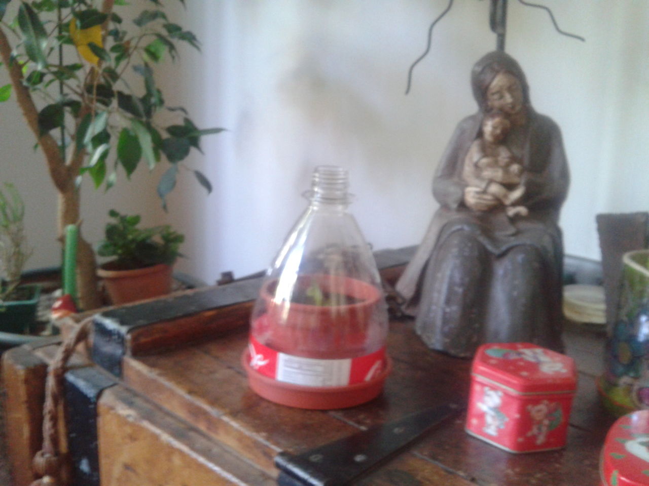 IMG_20131230_160942.jpg