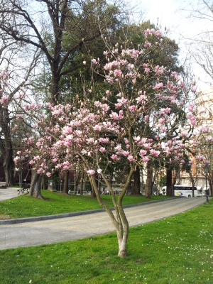 IMG_20140219_221052.jpg
