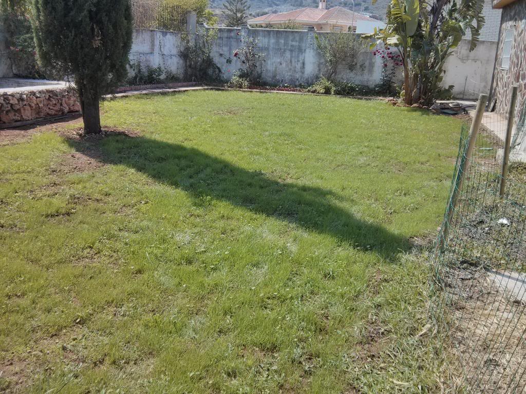 Preparar tierra para césped nuevo | Página 2