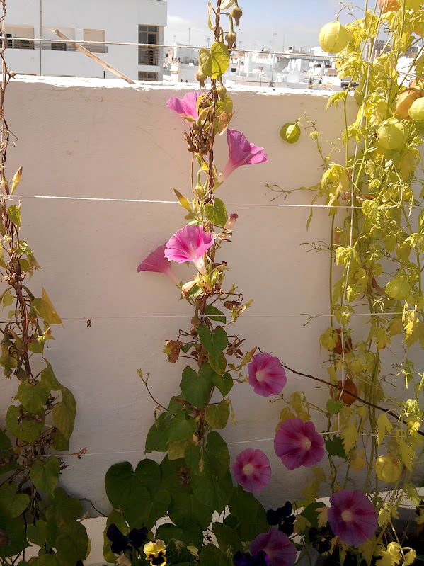 IMG_20140903_124426.jpg