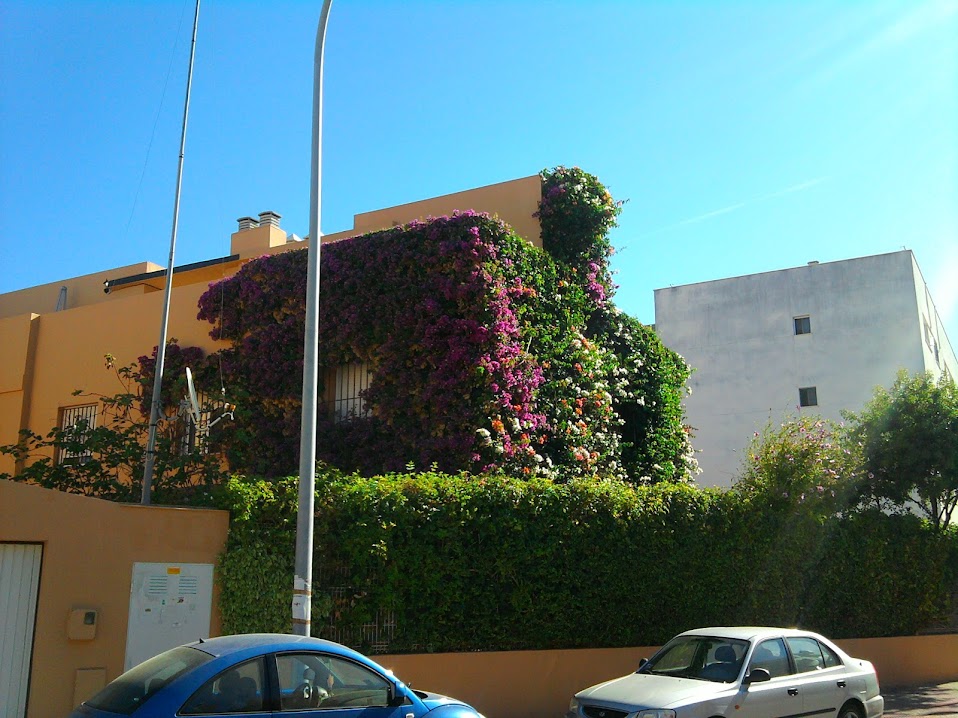 IMG_20140904_110434.jpg