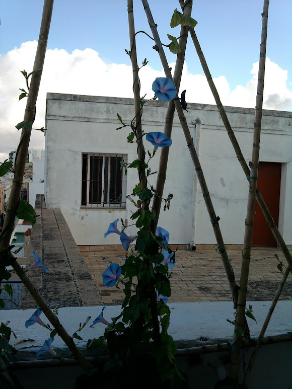 IMG_20140911_103010.jpg