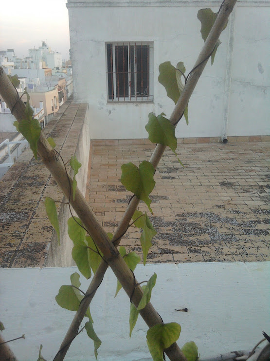 IMG_20140929_084342.jpg
