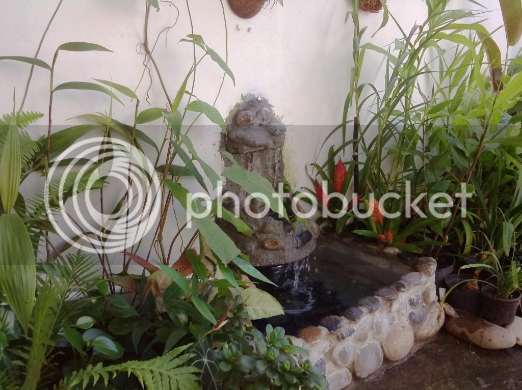 IMG_20141011_115258_zpscwpakakg.jpg