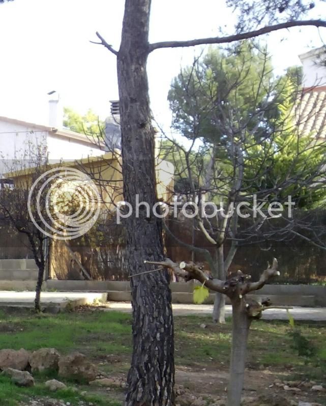 IMG_20150108_145113_zpshtlulxxf.jpg