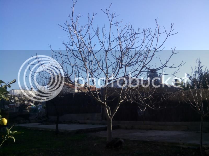 IMG_20150110_094511_zpsneyhptyr.jpg