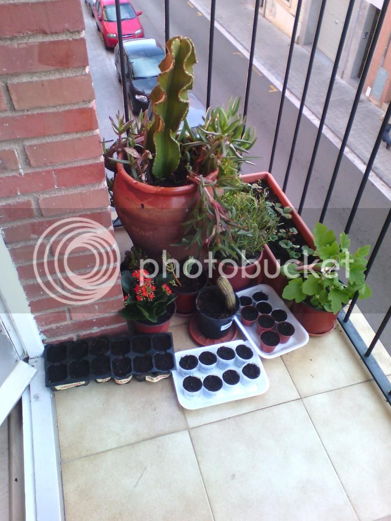 IMG_20150307_171807_zps5jx5wv7m.jpg