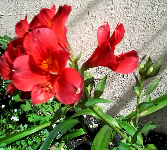 IMG_20150320_135259.jpg