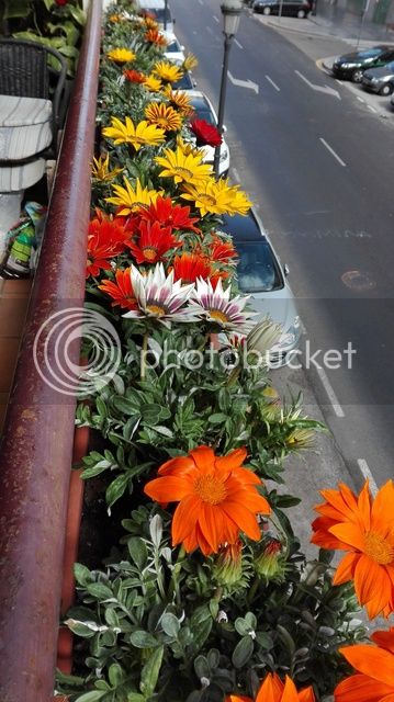 IMG_20160225_121913_zpsmukgyx7g.jpg