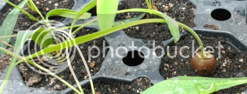 IMG_20160523_213002_zpswvbokmuh.jpg
