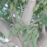 IMG_20171014_105254.jpg