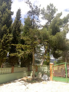 IMG_20180515_143507.jpg