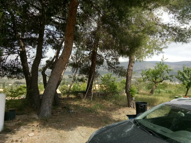 IMG_20180527_121816.jpg