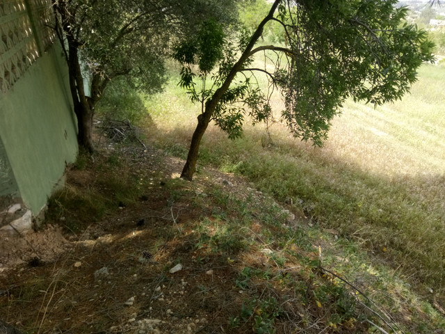 IMG_20180527_122020.jpg
