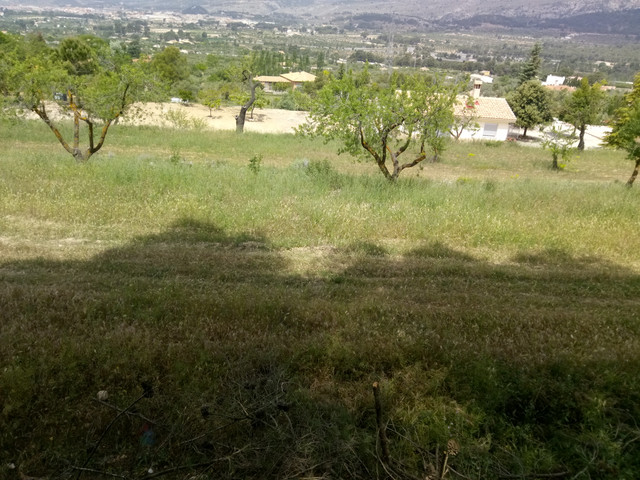 IMG_20180527_122028.jpg