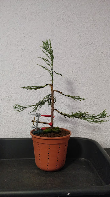IMG_20180830_191239.jpg