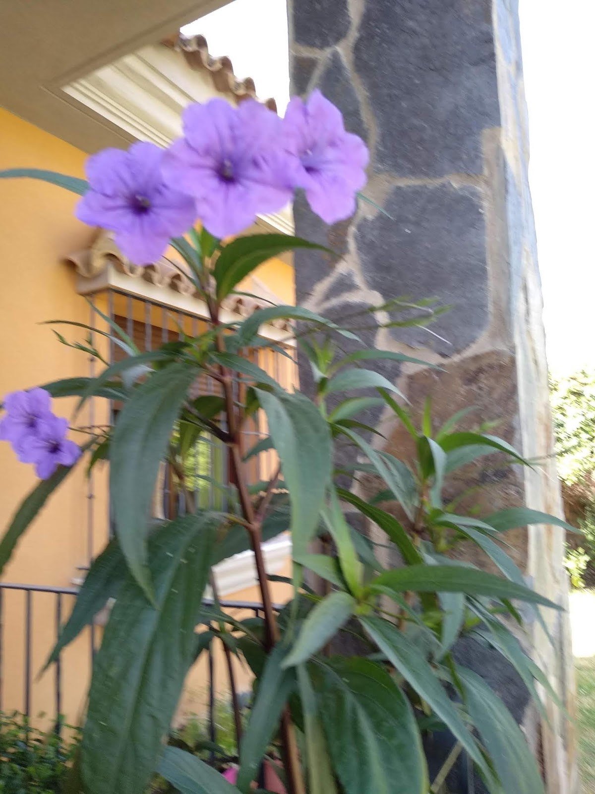 IMG_20180906_122830.jpg