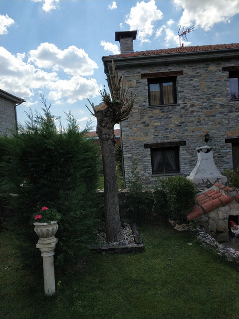 IMG_20180916_142341.jpg