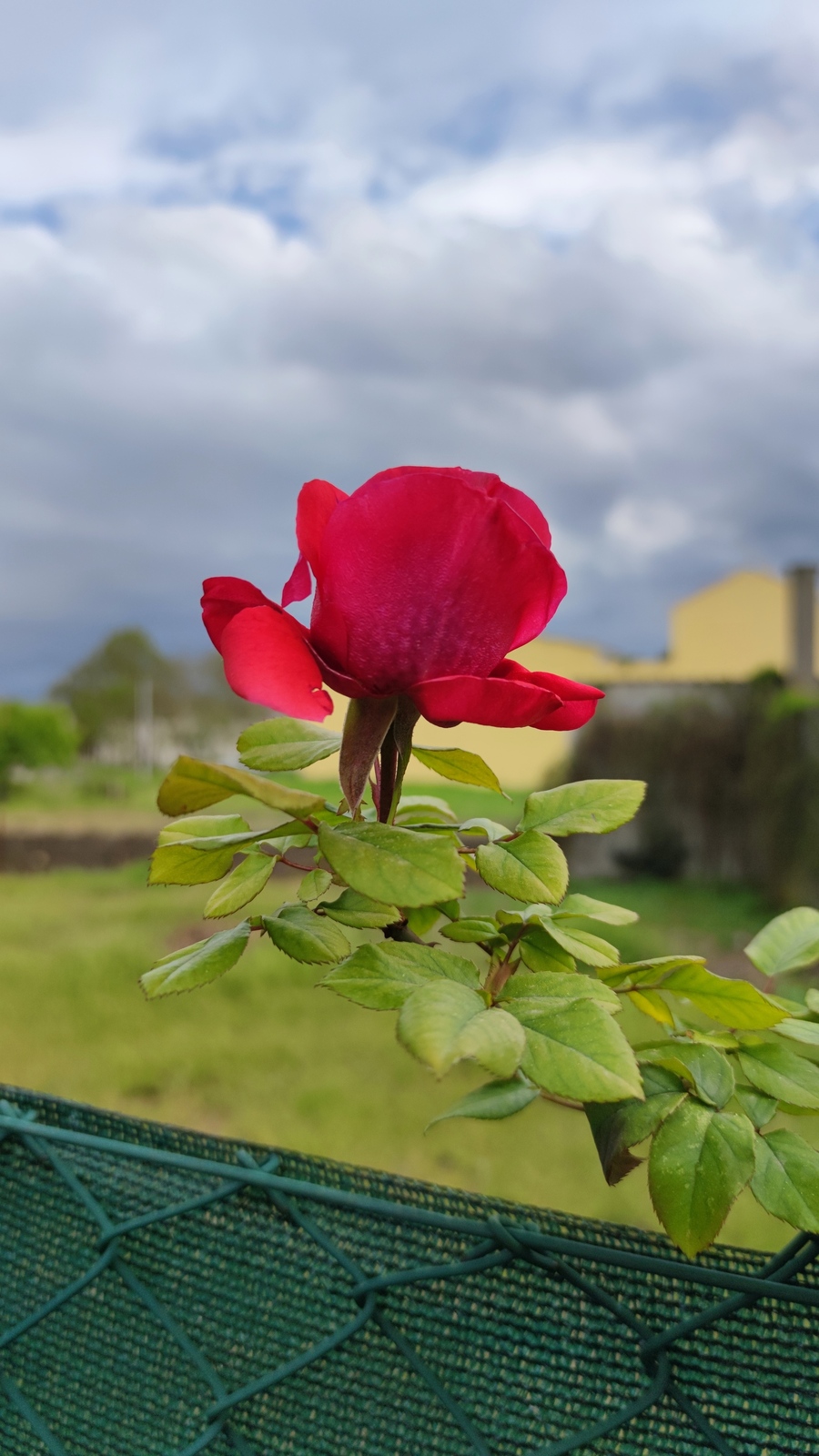 IMG_20210410_191513.jpg