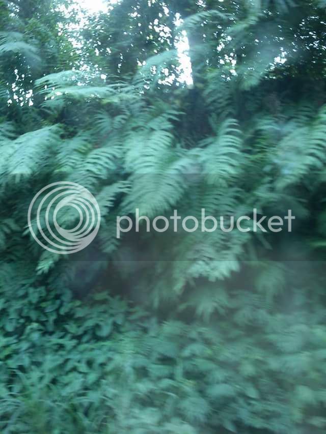 IMG_220975131079165_zps0ecxblaq.jpe