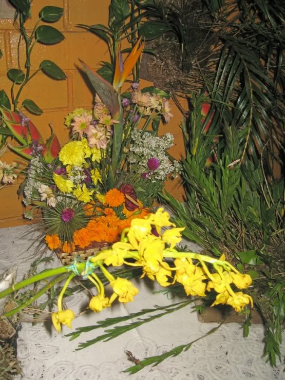 IMG_2438.jpg