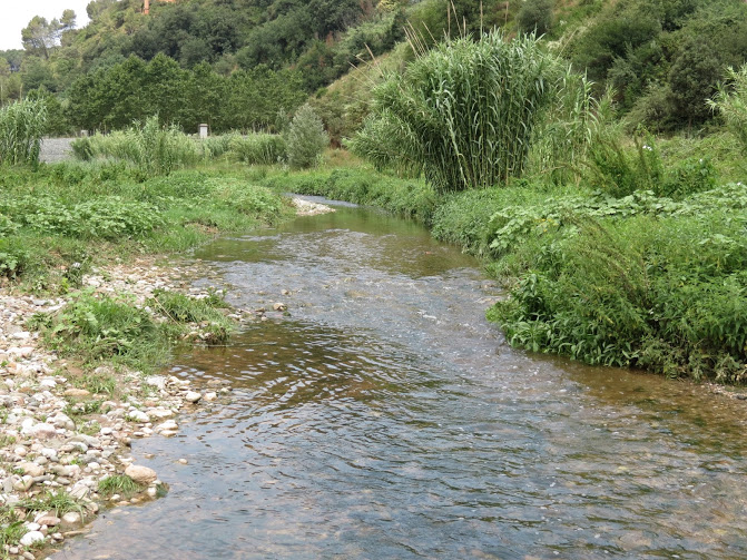 IMG_2450.JPG