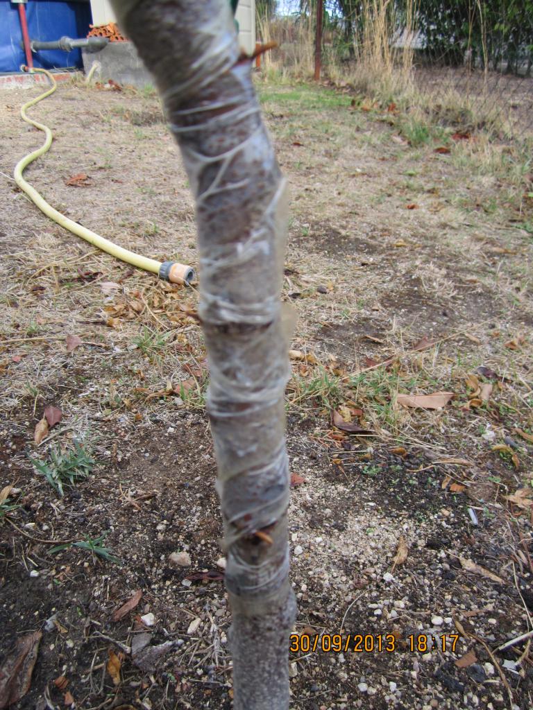 IMG_2543_zps1401f8a2.jpg
