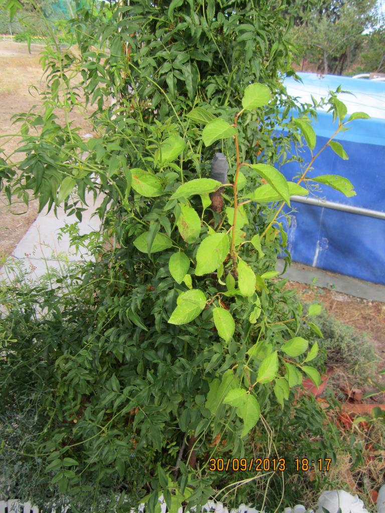 IMG_2546_zpsebb73d0c.jpg