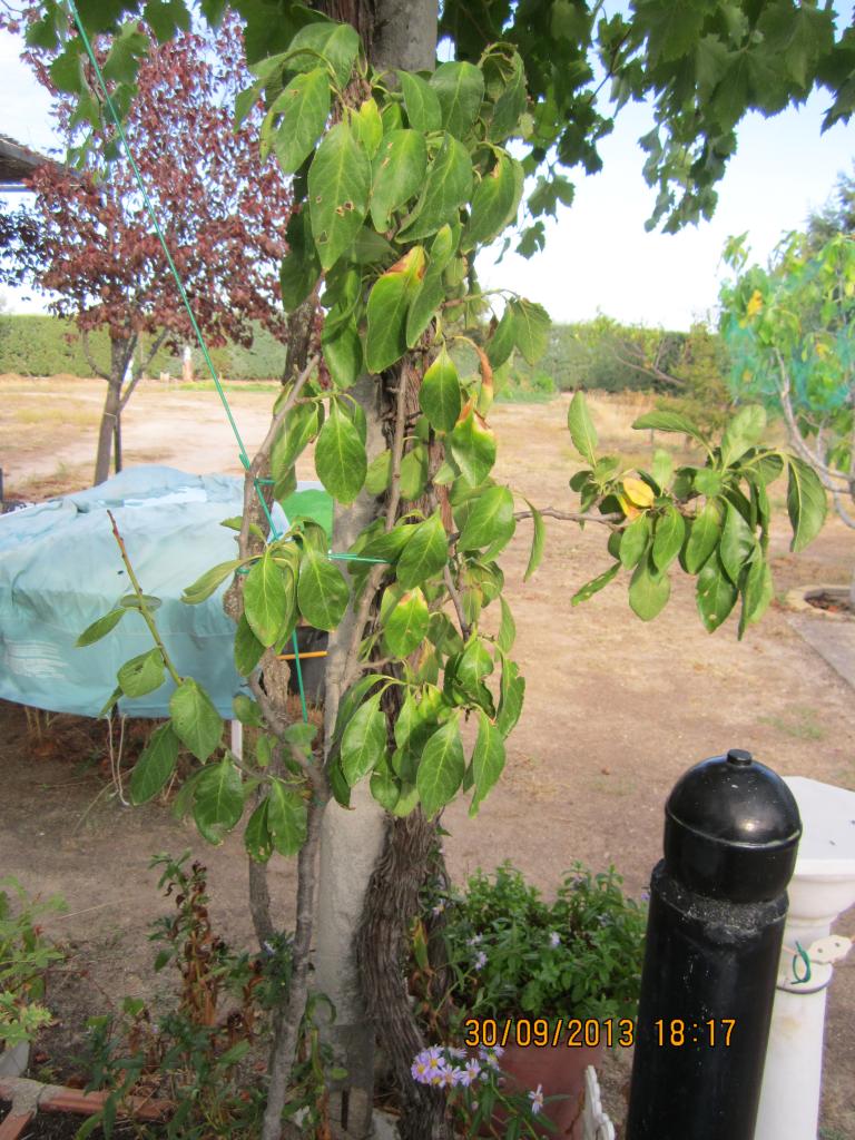 IMG_2547_zps11b7fa8a.jpg