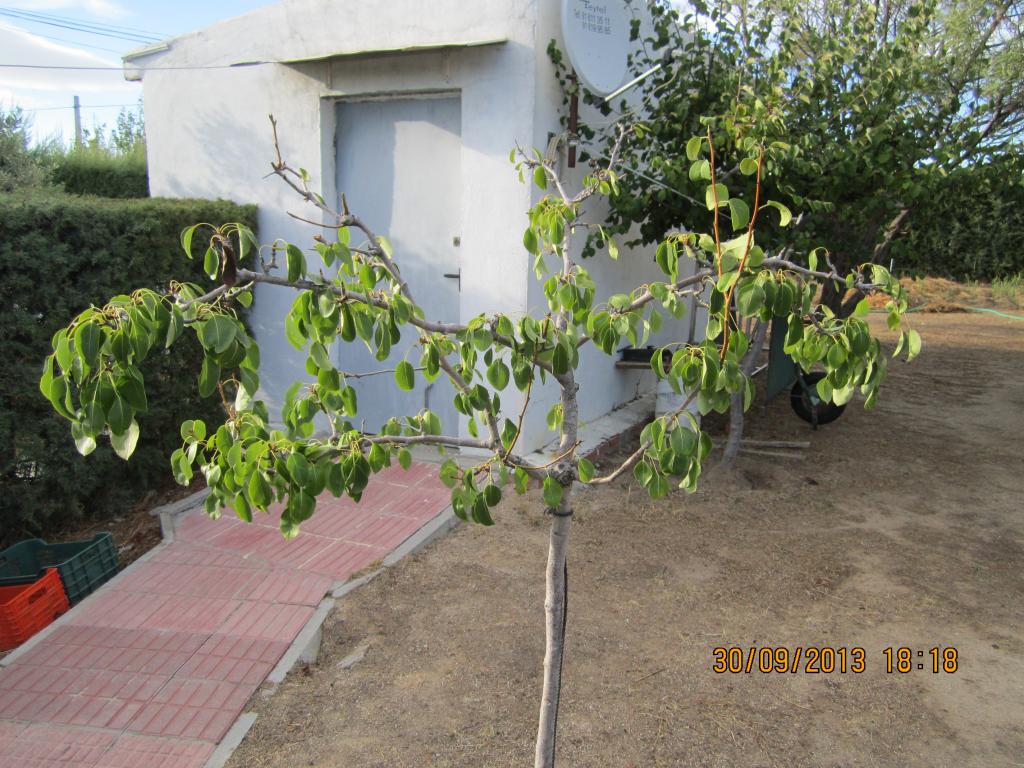 IMG_2552_zps3471c37a.jpg
