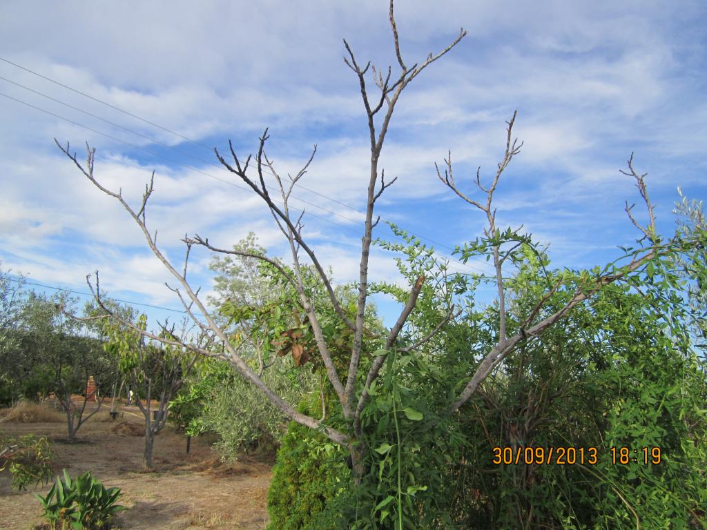 IMG_2560_zpsa4bd8dc1.jpg