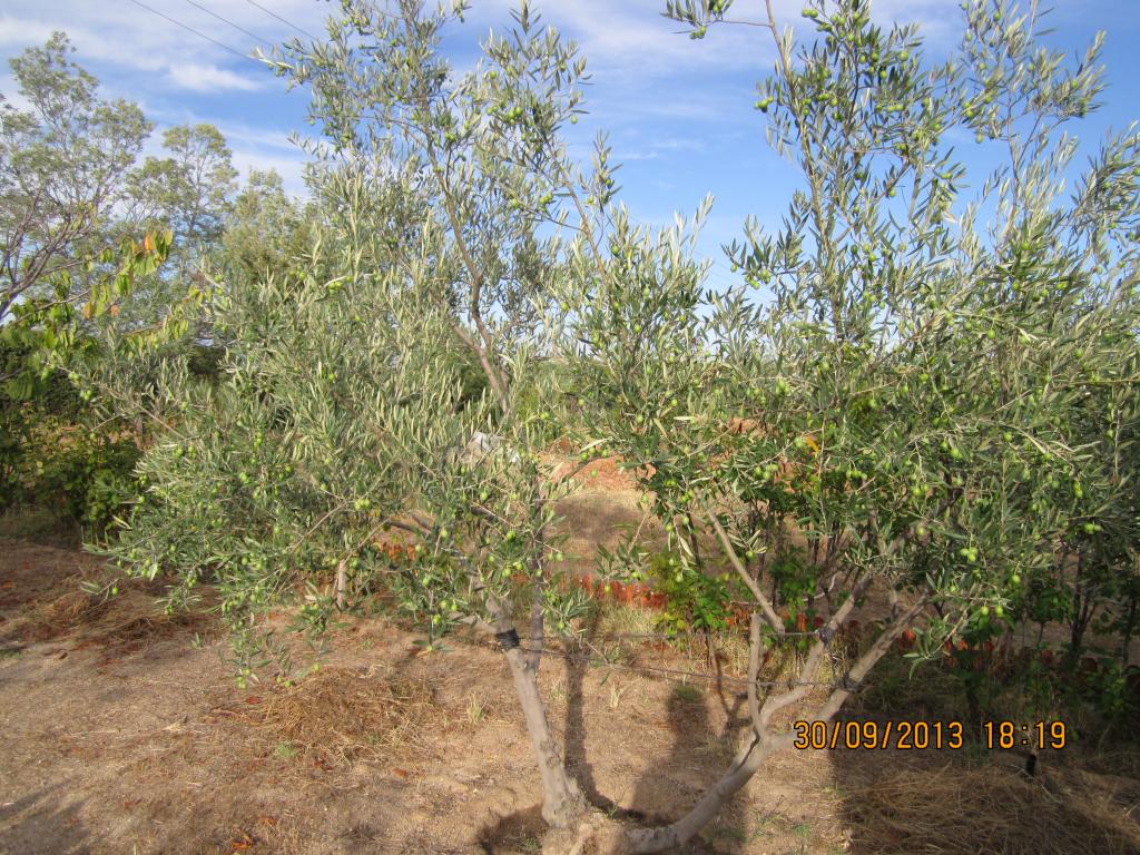 IMG_2561_zps419761c9.jpg