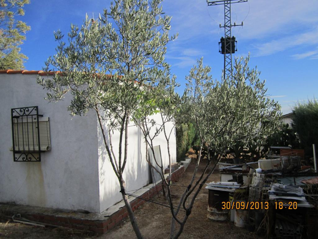 IMG_2572_zps09014bb7.jpg