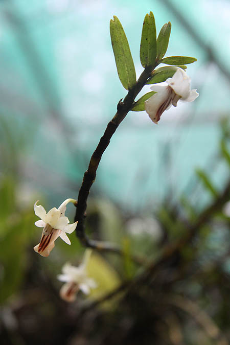 img_2620.jpg