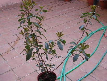 IMG_2742_20.jpg