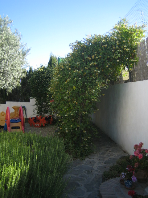 IMG_2853.JPG