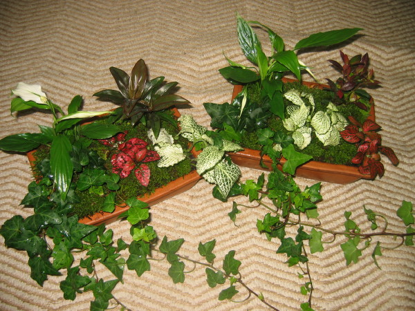 IMG_2896_1.jpg
