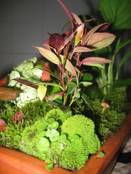 IMG_2899_1.jpg