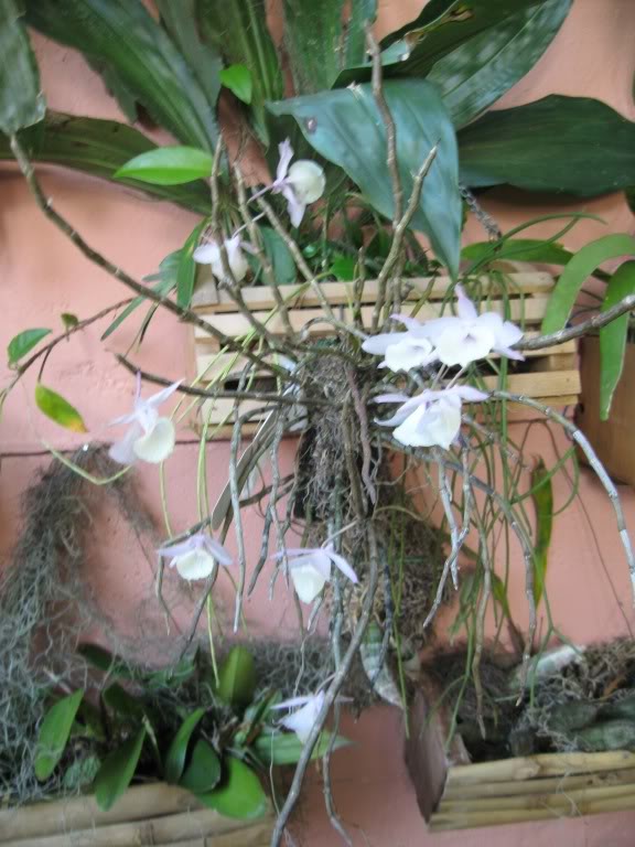 IMG_2985.jpg
