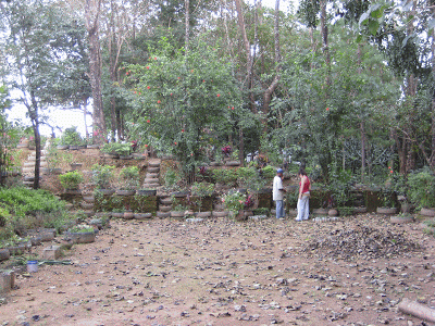IMG_3115.GIF