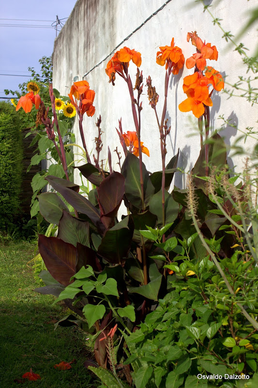 IMG_3270.CR2.jpg