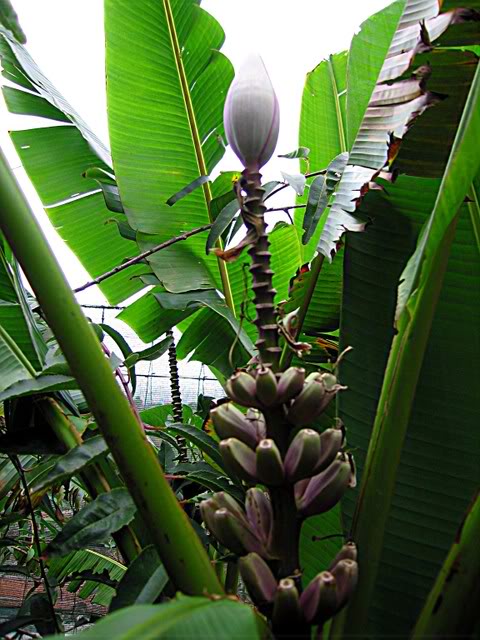 IMG_3573.jpg